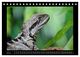 Thumbnail-10