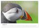 Thumbnail-13