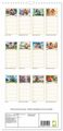 Thumbnail-11