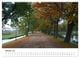Thumbnail-11