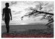 Thumbnail-11