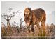 Thumbnail-9