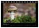 Thumbnail-11