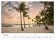 Thumbnail-9