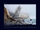 Thumbnail-9