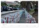 Thumbnail-13