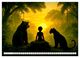 Thumbnail-7