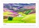 Thumbnail-11