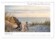 Thumbnail-14