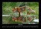 Thumbnail-9