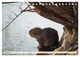 Thumbnail-14
