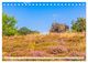Thumbnail-11