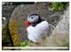 Thumbnail-13