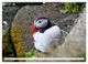 Thumbnail-14