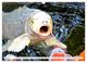 Thumbnail-12
