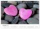Thumbnail-13