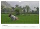 Thumbnail-12