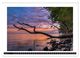 Thumbnail-11