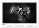Thumbnail-11