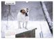 Thumbnail-14