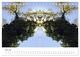 Thumbnail-9