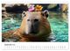 Thumbnail-10