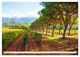 Thumbnail-14