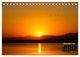 Thumbnail-14