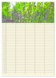 Thumbnail-7