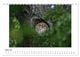 Thumbnail-9