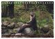 Thumbnail-11