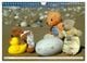 Thumbnail-12