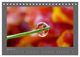 Thumbnail-10