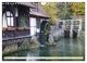 Thumbnail-12