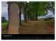 Thumbnail-14