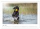 Thumbnail-12