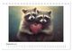 Thumbnail-14