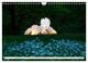 Thumbnail-10