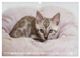 Thumbnail-10
