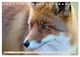 Thumbnail-12