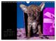 Thumbnail-11