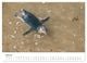 Thumbnail-12