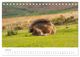 Thumbnail-9