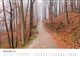 Thumbnail-11