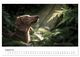 Thumbnail-13