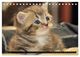Thumbnail-12