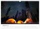 Thumbnail-11