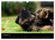 Thumbnail-12