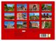 Thumbnail-9