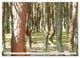 Thumbnail-13